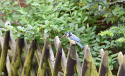 DSC_1841