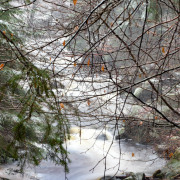DSC_2638