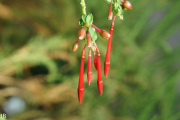 DSC05953.jpg