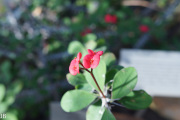 DSC05963.jpg