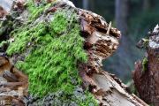 DSC_6023.jpg
