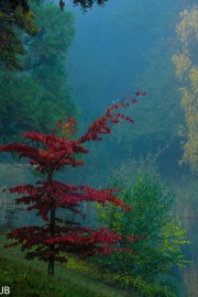 Aufnahmedatum: Sonntag, 23. Oktober 2016 10:23:44 Belichtungszeit [s]: 1/250 Belichtungsprogramm: Normal Brennweite [mm]: 150 ISO-Wert: 200 Verschlusszeit [s]: 1/250 Weissabgleich: Auto