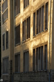 DSC06951