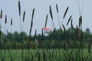Datum: 17.05.2016 19:07:33 Programm: P - Automatik Blende: f 9,0 Belichtungszeit: 1/250 s ISO-Wert: 200 EV: ±0,00 EV Brennweite: 150,0 mm Real Auflösung: k.A. Weißabgleich: Automatik Meßmodus: Multisegment Blitz: Aus Belichtungsmodus: Auto Belichtung Weißabgleichmodus: Auto Weißabgleich KB-Brennweite: 225 mm Szenenaufnahme: Standard Kontrast: Normal Schärfe: Normal Motiventfernung: k.A.