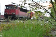 DSC_1541.jpg
