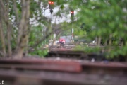 DSC_1545.jpg